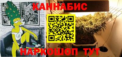 индика Тулун