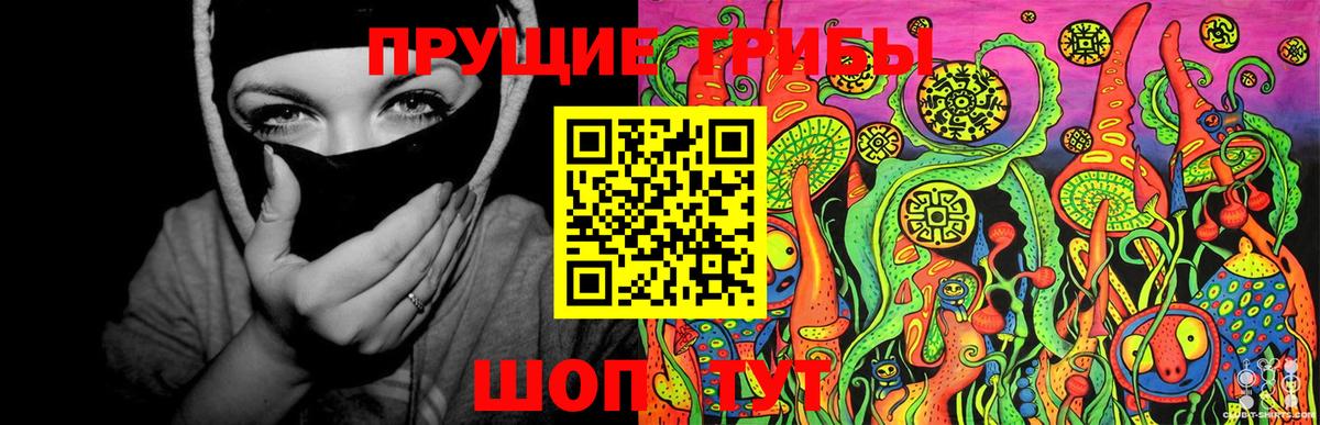 Галлюциногенные грибы Psilocybine cubensis  Вход с VPN  Ногинск 