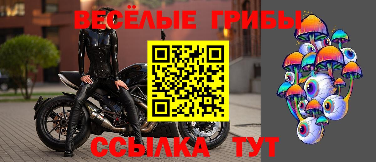 Галлюциногенные грибы мухоморы Ногинск